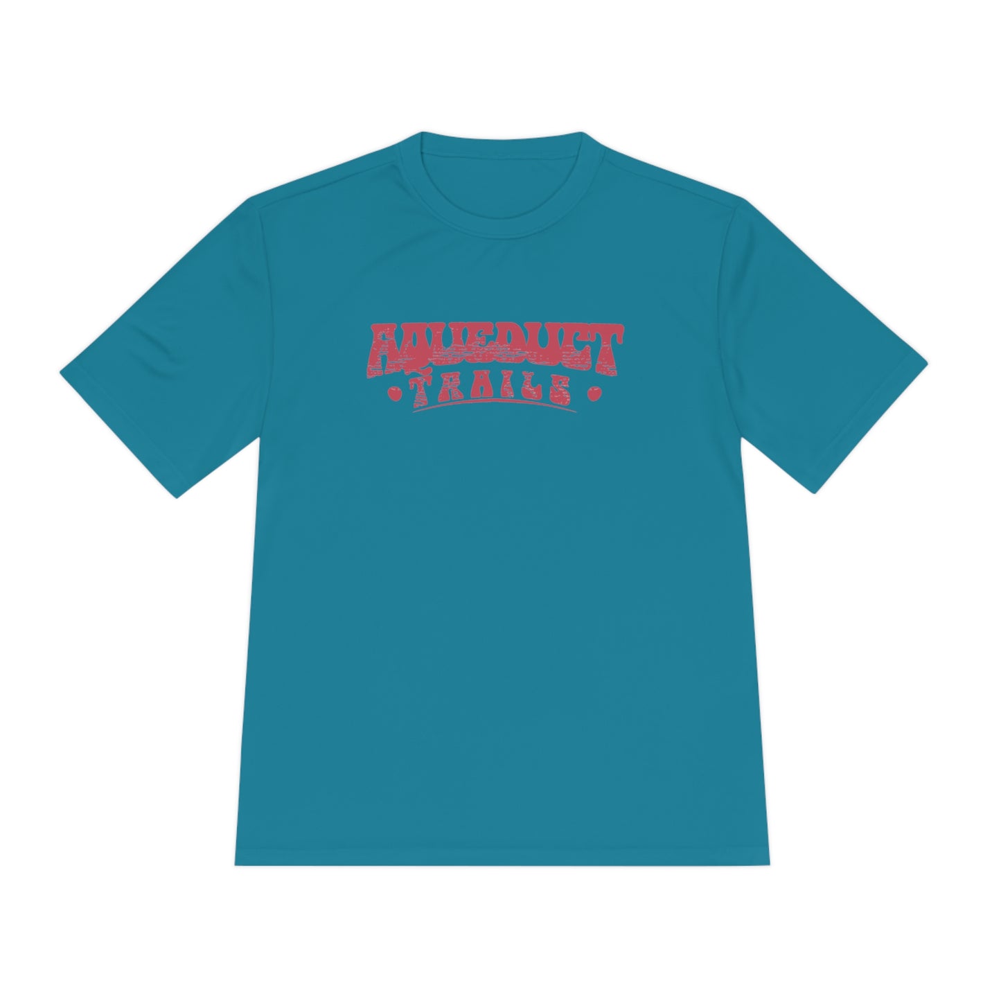 Aqueduct Trails Unisex Jersey T