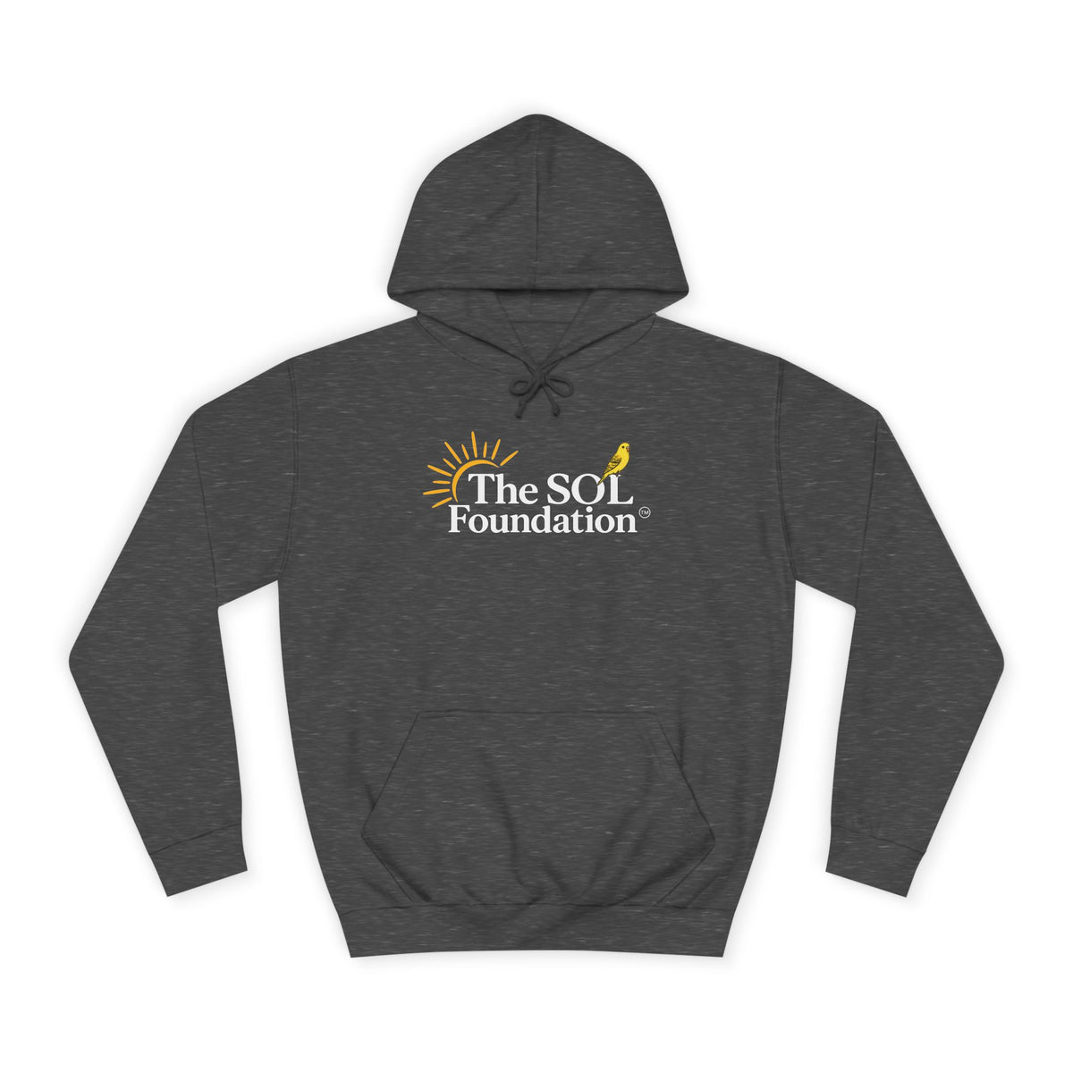 Sol Foundation Hoodie