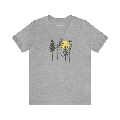 Through the woods T
