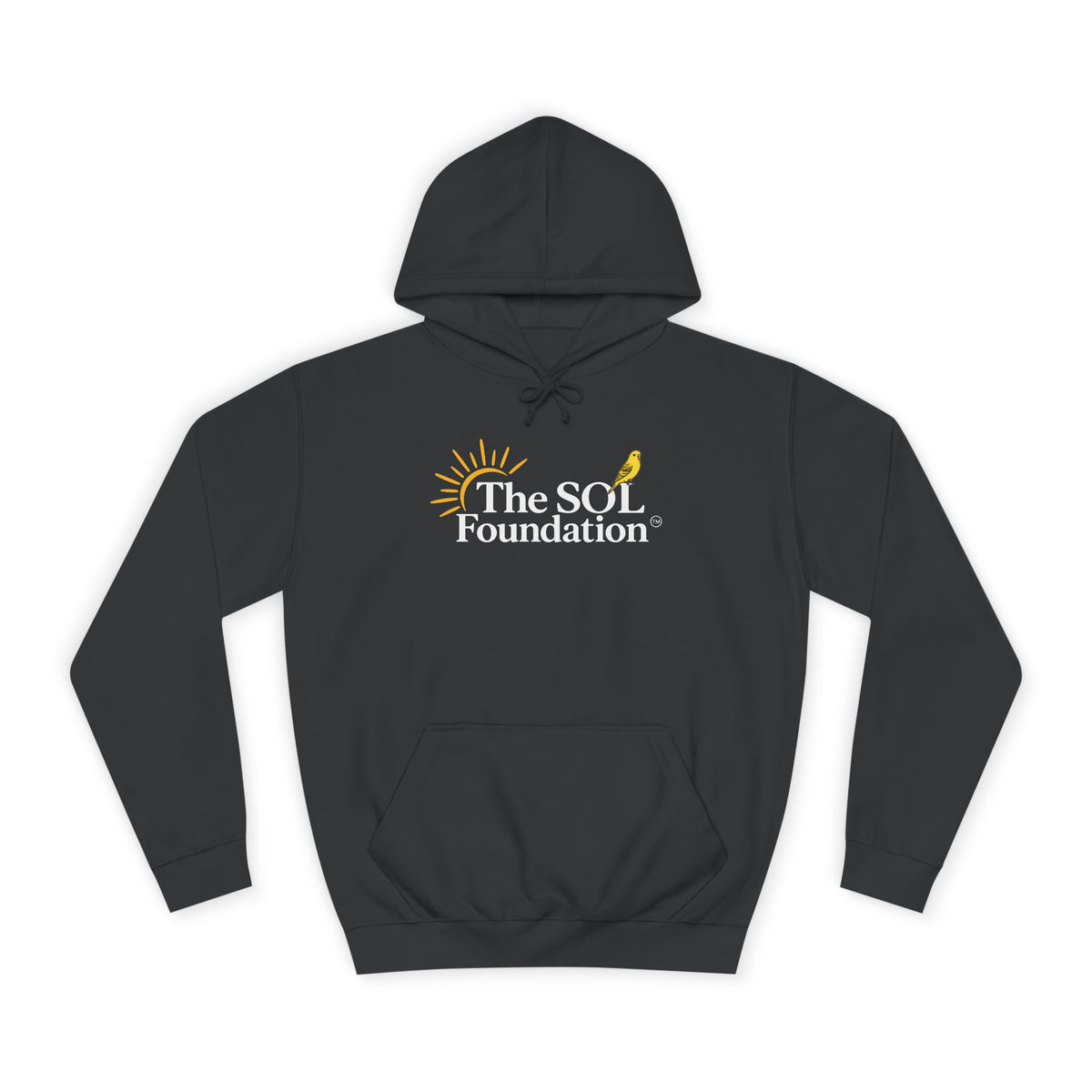 Sol Foundation Hoodie